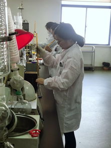 探秘松江 年销超50亿的“隐形冠军”食品工厂背后的科技密码